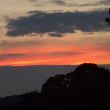 Appartement Maison Mitoyenne Charmante à Avec Wifi Et Cour Privative - Fr-1-510-166